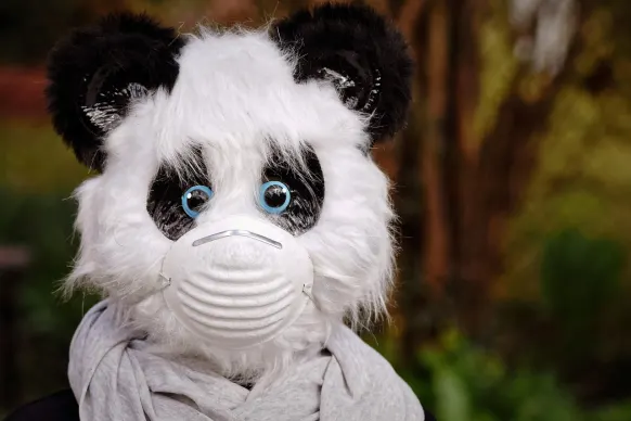 Oppa88888888 Kasino Podpora